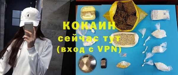 дживик Абинск