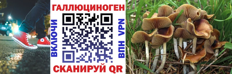 где купить наркоту Новокузнецк ссылка на мегу зеркало Галлюциногенные грибы прущие грибы
